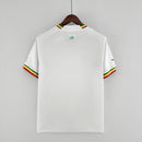 Senegal World Cup 2022 Jersey 