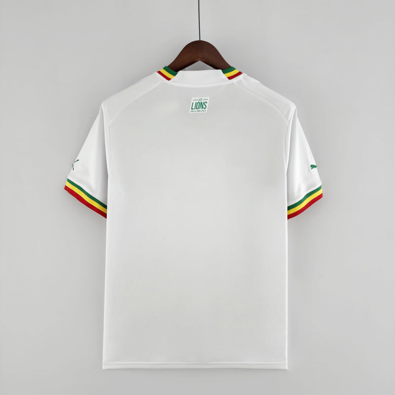 Senegal World Cup 2022 Jersey 