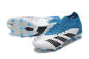 Adidas Predator Accuracy Soccer Cleats 